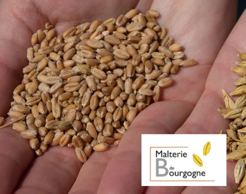 Malterie Bourgogne Dijon agri agro