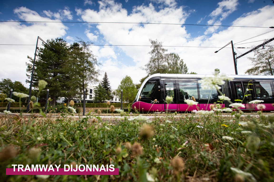 Tramway Dijonnais légendé
